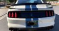 2020 Ford Mustang Shelby GT35