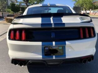 2020 Ford Mustang Shelby GT35